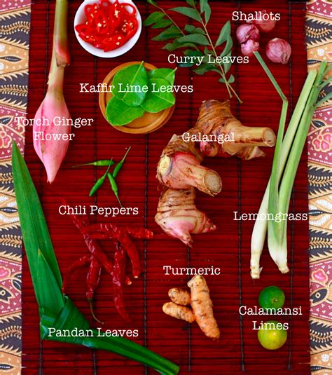 Explore Southeast Asian Spices And Herbs Season With Spice