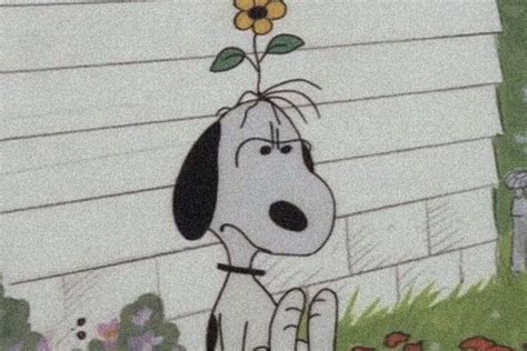 Snoopy Love Charlie Brown And Snoopy Snoopy And Woodstock Snoopy