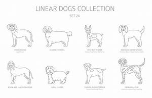 Simple Line Dogs Collection Isolated On White Dog Breeds Flat Stock