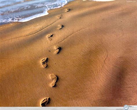 Footprints In The Sand Wallpapers - Wallpaper Cave
