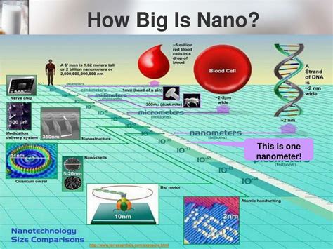 Ppt Nanotechnology In Agriculture And Food Technology Powerpoint