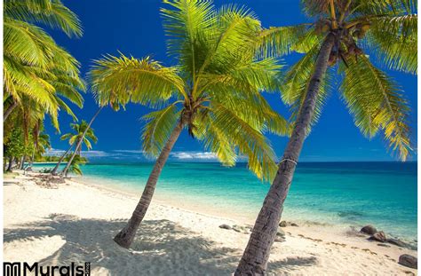 Deserted Beach Coconut Palm Trees Fiji Wall Mural