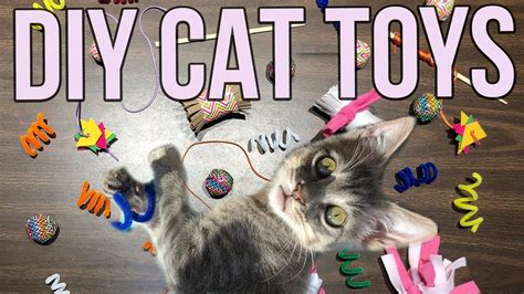 5 Easy Cat Toys Kids Can Make At Home Competsport