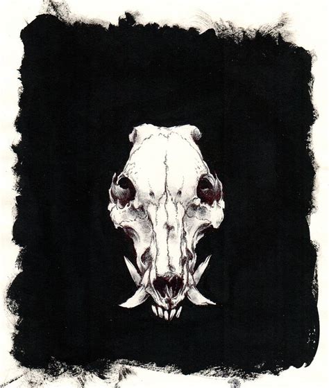 Boar Skull Jeremy Hush Skull Art Animal Animal Skulls Skull