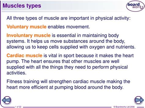 Ppt Muscles Types Powerpoint Presentation Free Download Id2167205
