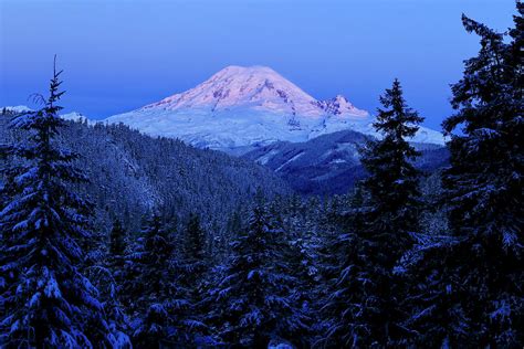 Winter Morning With Mount Rainier 2 Photograph By Lynn Hopwood Fine