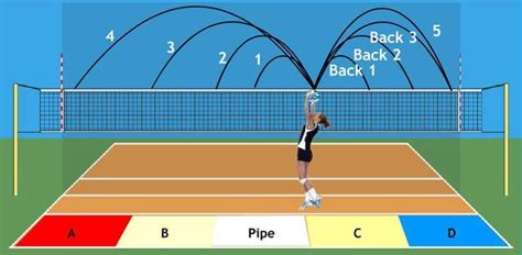 Setting Diagram Volleyball