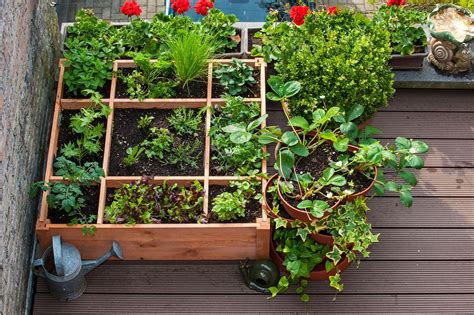 How To Start A Balcony Garden 9 Tips For The Small Space Grower