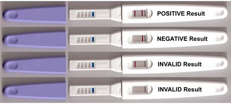 Ovulation And Pregnancy Midstream Tests Fertility Urine Stick Kits One