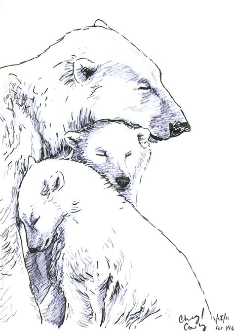 Polar Bear Sketch By Silvercrossfox On Deviantart