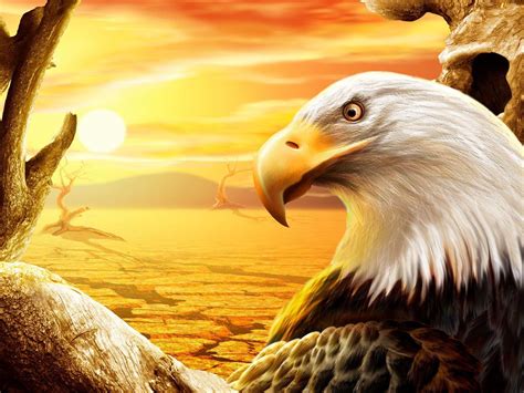 Download free wallpapers and screensavers for mobile. Free Eagle Wallpapers - Wallpaper Cave