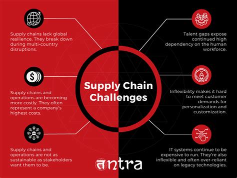 How To Overcome The Global Supply Chain Challenges With Software