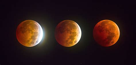 8 Blood Moon Lunar Eclipse Photography By Dustin Lefevre Image
