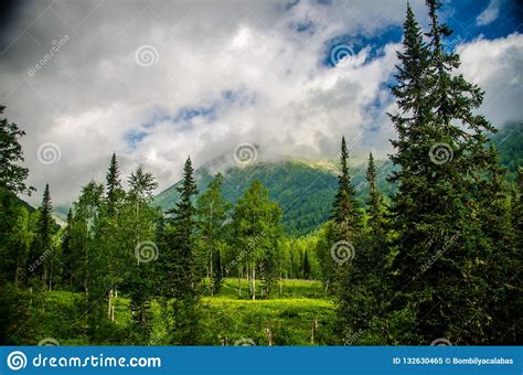 Mountain Landscape Deciduous Forest Cloud On Top Morning Light Stock