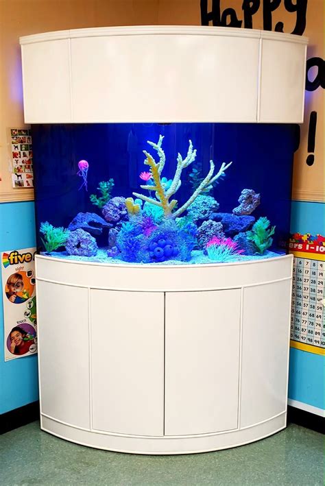 Corner Tanks Premium Glass Curved Aquariums Aqua Vim In 2020 Fish