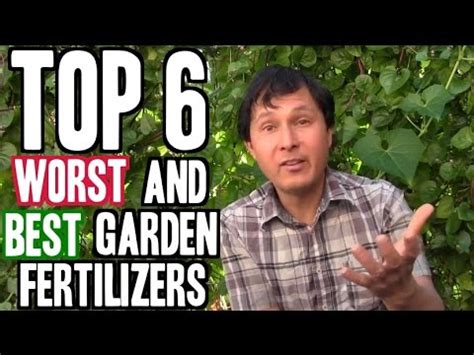 It helps your plants grow vibrantly protecting them from unfavorable conditions. Top 6 Worst and 6 Best Garden Fertilizers - YouTube