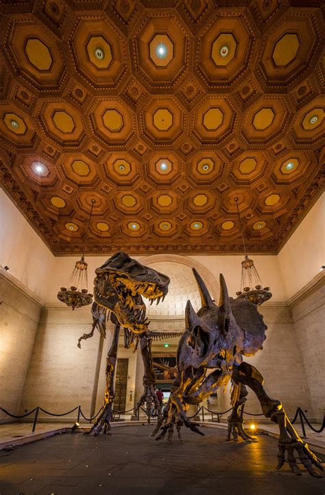 Natural History Museum Of Los Angeles County Review And Tips Travel