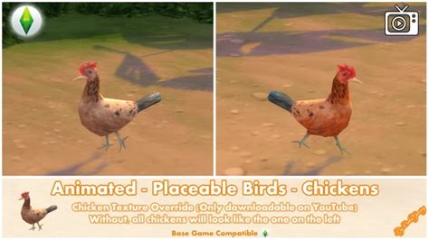 Animated Placeable Birds Chickens By Bakie At Mod The Sims Sims 4