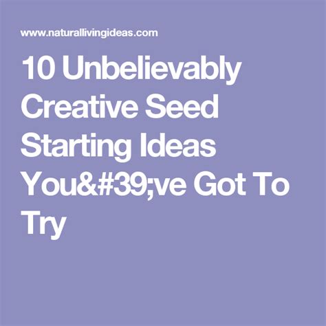 10 Best Tips & Tricks For Starting Seeds Indoors | Seed starting, Seeds ...