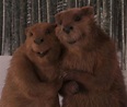 Beaver | The Chronicles of Narnia Wiki | Fandom