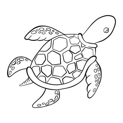 Vector Black Outline Cartoon Doodle Sea Turtles Graphic Underwater