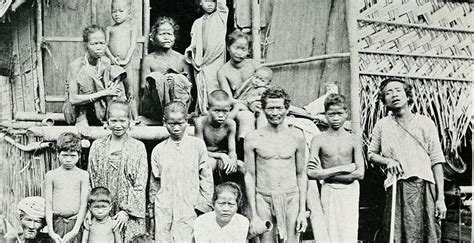 Manusia Purba Yang Diduga Sebagai Nenek Moyang Bangsa Indonesia
