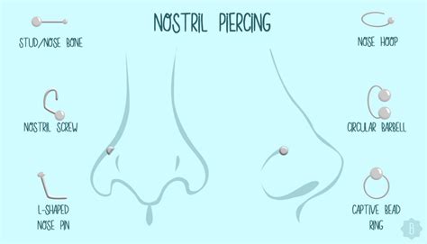 A Definitive Guide To The 7 Types Of Nose Piercings Piercing Blog