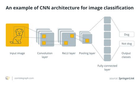 What Is A Convolutional Neural Network
