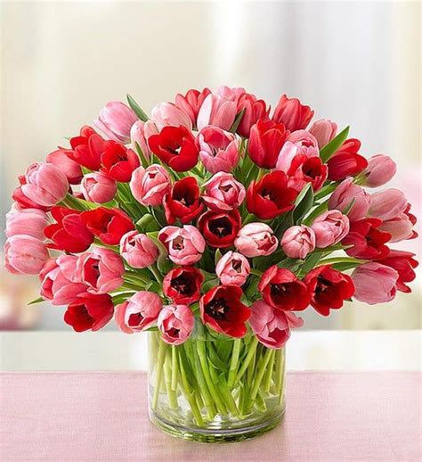 Sweetest Love Tulips 60 Stems Flowers Flower T Flower Delivery