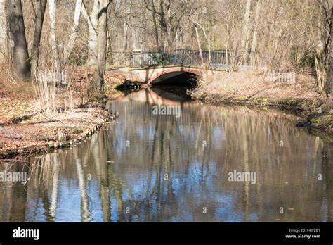 Lake And Trees In The Tiergarten Park Berlin Germany Stock Photo Alamy
