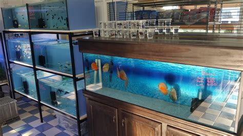 Northern Blue Aquarium Supplies 39c Meenan St Garbutt Qld 4814