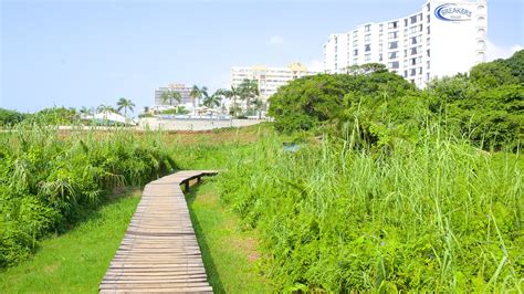 Umhlanga Lagoon Nature Trail In Umhlanga Expedia