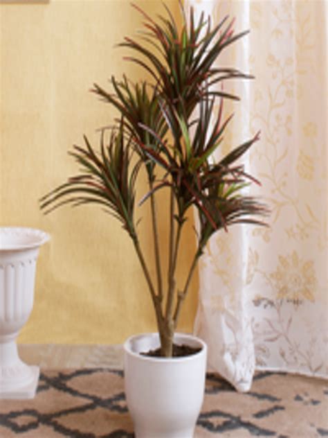 Buy Fourwalls Green And Red Artificial Yucca Floor Plant Without Pot