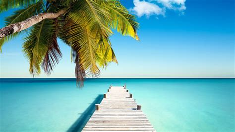 Tropical Paradise Dock Shore Sea Blue Turquoise Ocean Palm