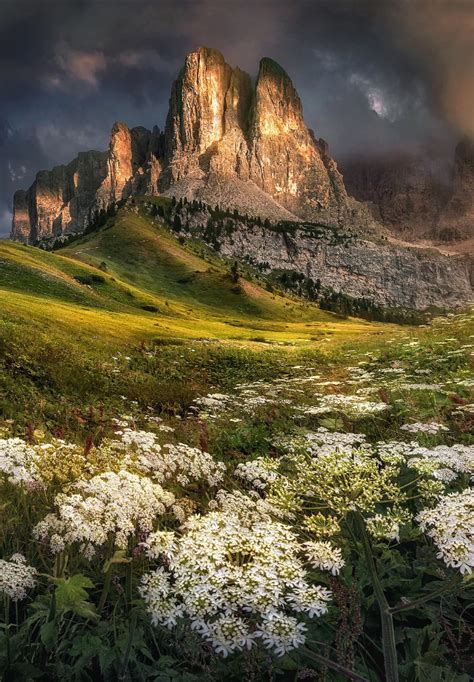 Landscape And Nature Photography — Spring Blossom Field In Dolomites