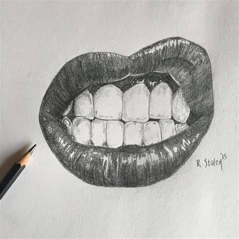 Snarling Lips In Pencil Beautiful Pencil Drawings Lip Pencil Colors