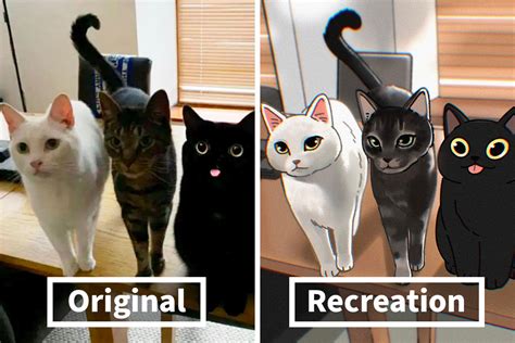 Funny Images Of Cats Found On The Internet Get Transformed Into Cute