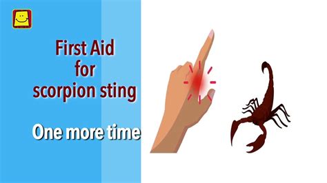 First Aid For Scorpion Sting Youtube