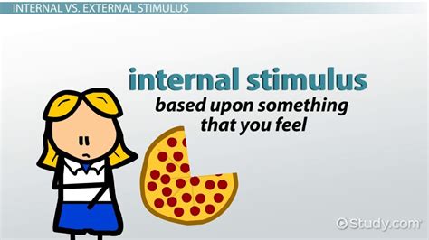 Internal Stimuli Explanation And Examples What Are Internal Stimuli