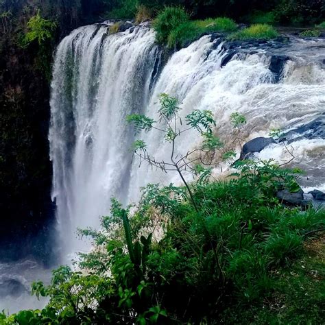 Cascada De Eyipantla Veracruz Natural Landmarks Waterfall Nature