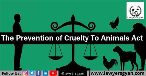 Overview Of Prevention Of Cruelty To Animals Act 1960 ⋆ Lawyers Gyan