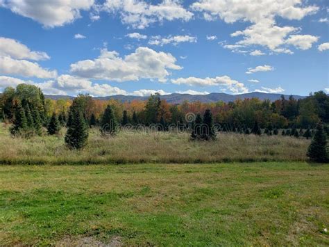 Vermont Trees Changing Color With Blue Skies And Clouds Stock Image