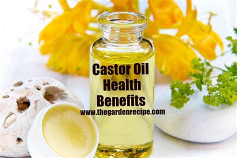 Castor Oil Health Benefits And Uses I The Garden Recipe I The Garden Recipe