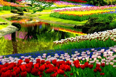 Astonishing Flower Garden In Spring Time