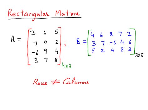 Types Of Matrices Examples Of Matrices Types For The