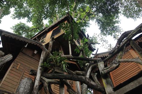 9 Magical Treehouses Thailand Has To Rent The Thailand Tree House List