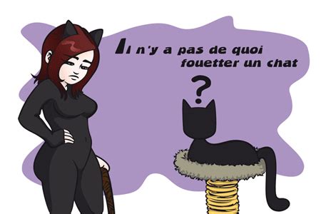 Whipping Cats: Geek's Corner (8) : More French Expressions ...