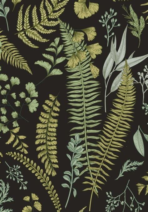 dark botanical wallpaper ferns wallpaper botanical wallpaper herbal