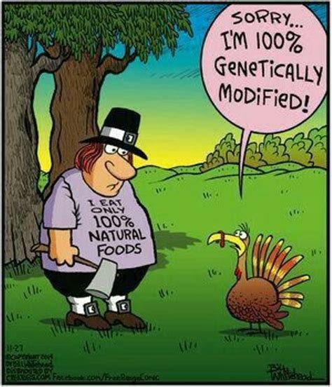 Thanksgiving Funny Funny Thanksgiving Thanksgiving Cartoon