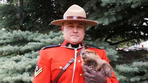 Mountie Baby Beaver Most Canadian Photo Ever Cbc News